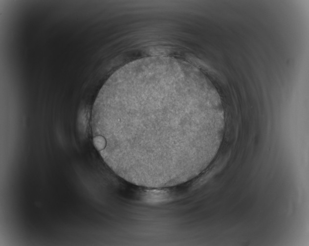 X0000087520240200705251645