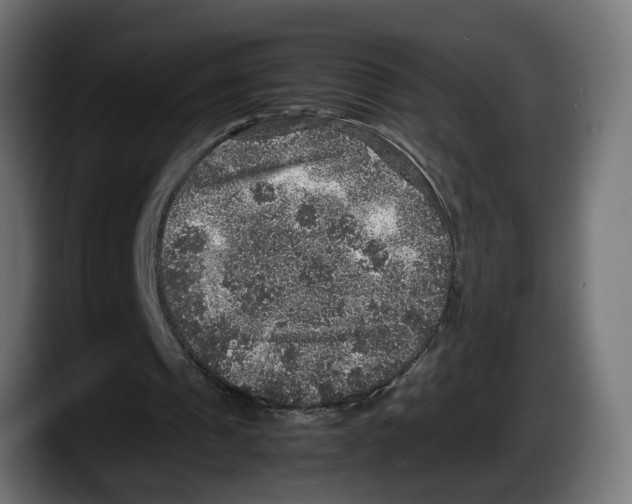 X0000087520241200705251645