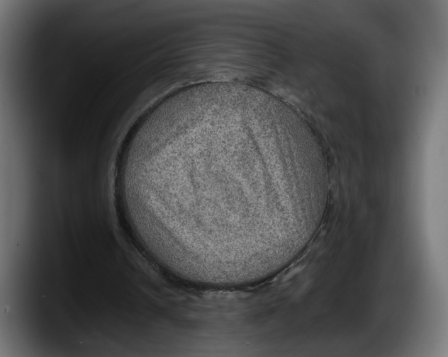 X0000087520242200705251645