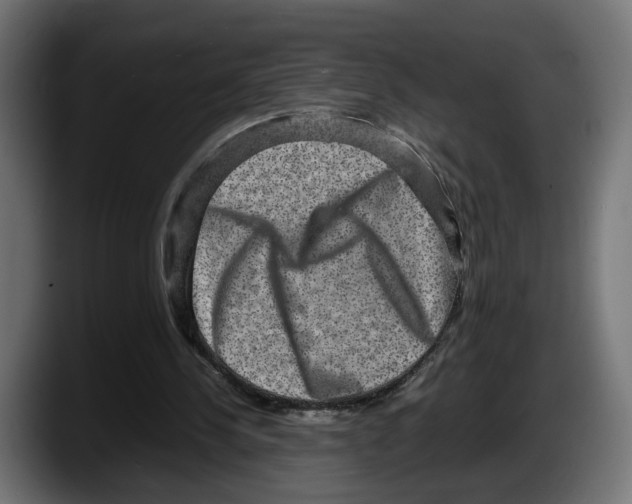 X0000087520244200705251645