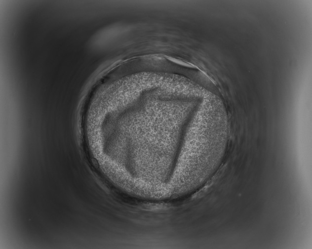 X0000087520245200705251645