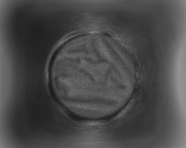 X0000087520246200705251645