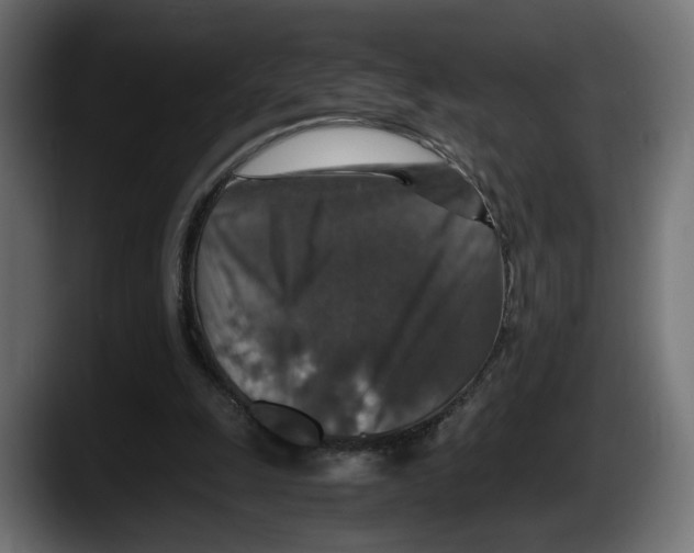 X0000087520247200705251645