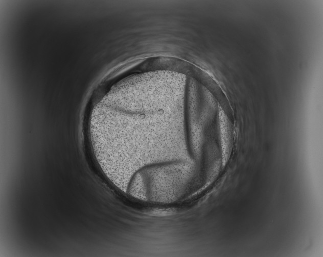 X0000087520248200705251645