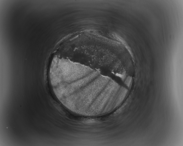 X0000087520249200705251645