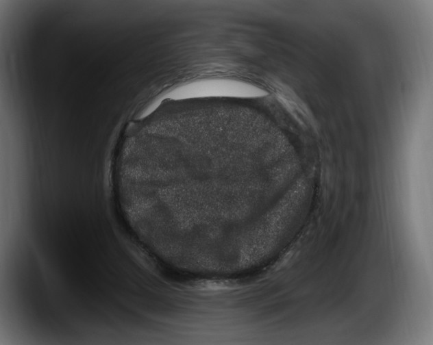 X0000087520250200705251645