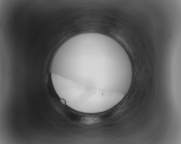 X0000087520251200705251645