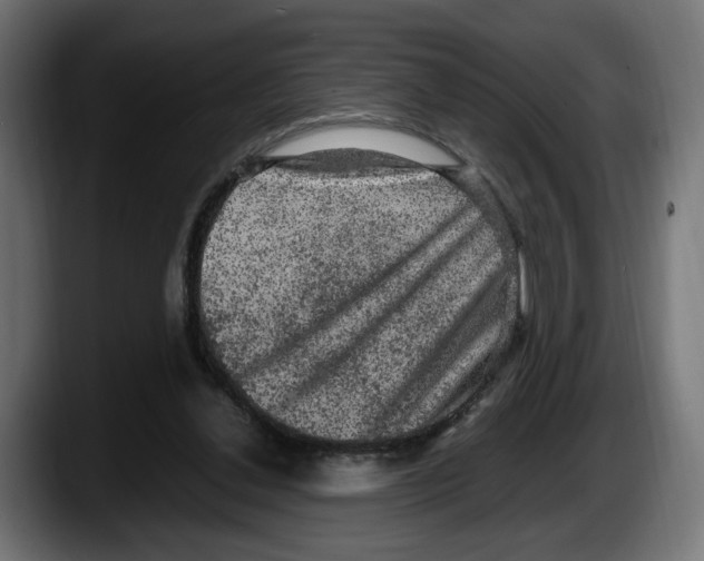 X0000087520252200705251645