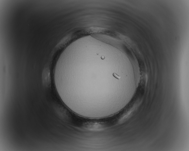 X0000087520254200705251645