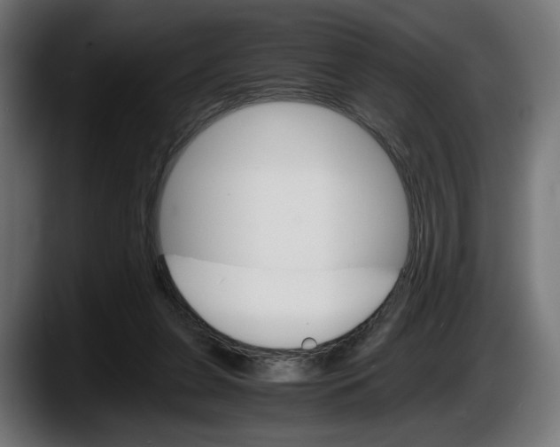 X0000087520255200705251645