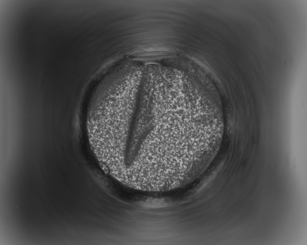 X0000087520256200705251645