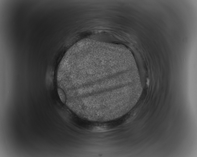 X0000087520263200705251645