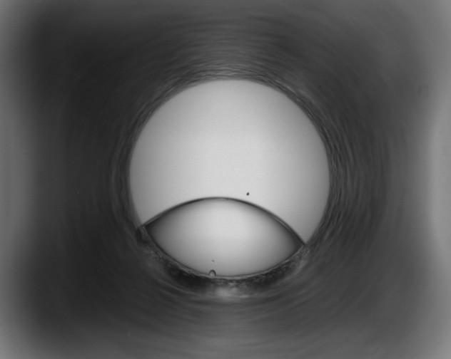 X0000087520264200705251645