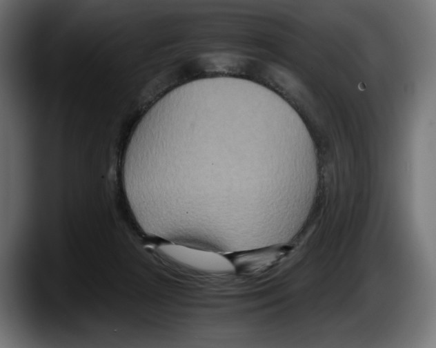 X0000087520265200705251645