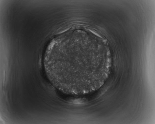 X0000087520267200705251645