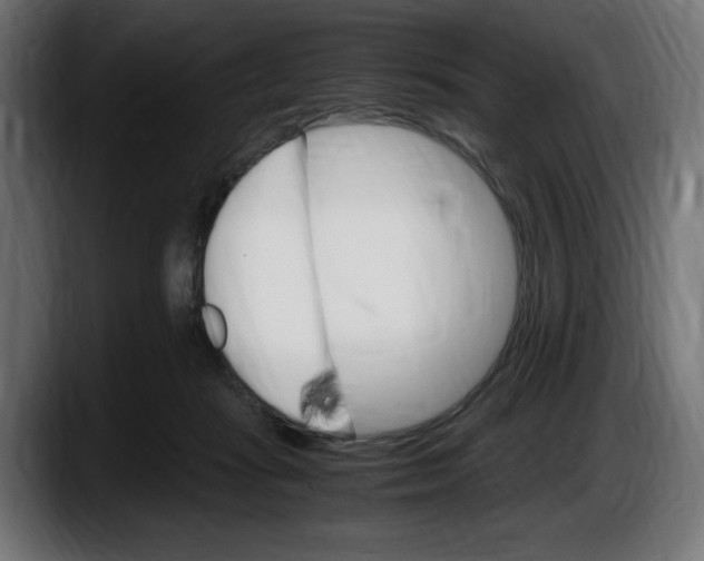 X0000087520269200705251645