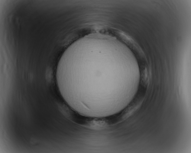 X0000087520270200705251645