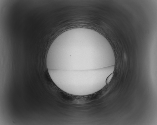 X0000087520271200705251645