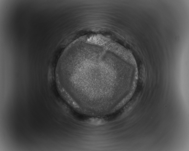 X0000087520272200705251645