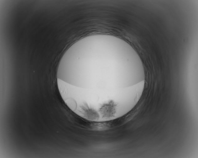 X0000087520273200705251645