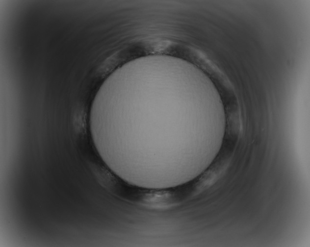 X0000087520274200705251645