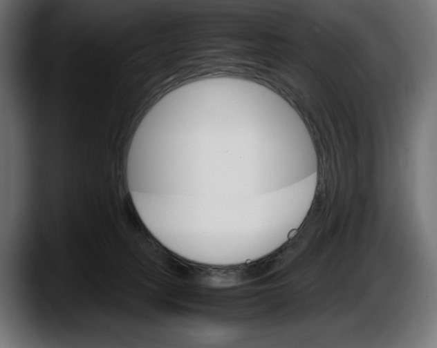 X0000087520275200705251645