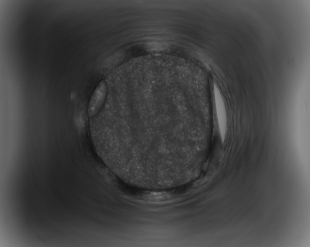 X0000087520277200705251645