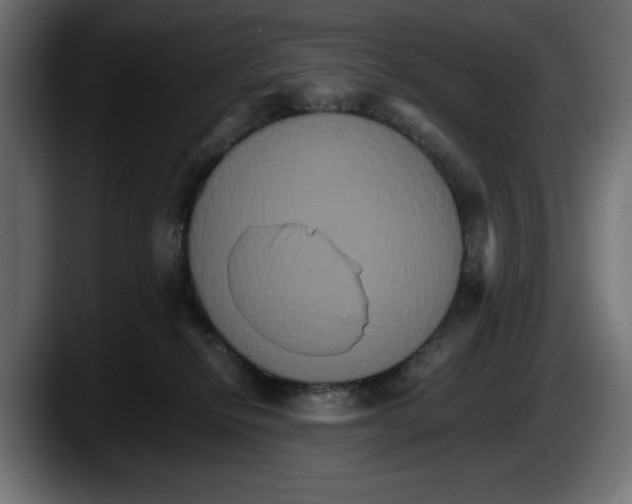 X0000087520278200705251645