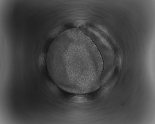 X0000087520280200705251645