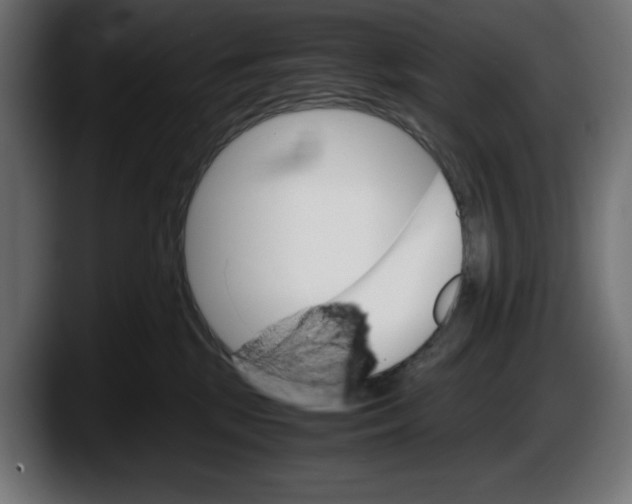 X0000087520281200705251645