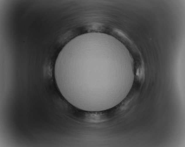 X0000087520282200705251645