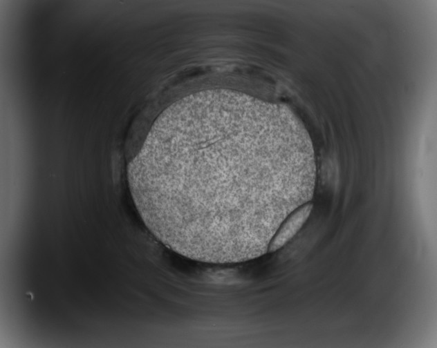 X0000087520283200705251645