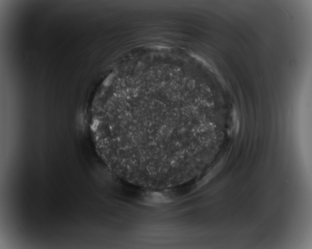 X0000087520285200705251645