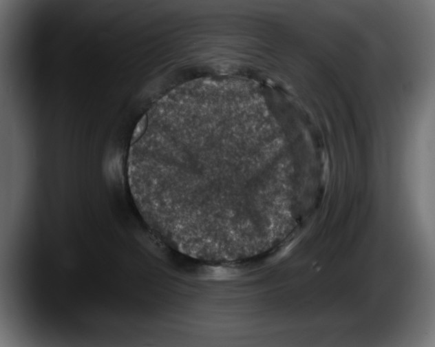 X0000087520286200705251645