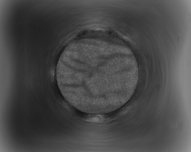 X0000087520288200705251645