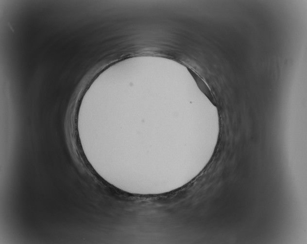 X0000087520289200705251645