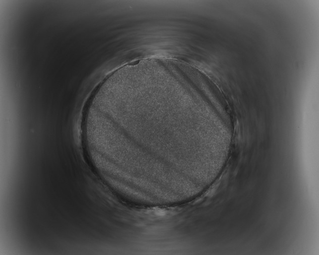 X0000087520290200705251645