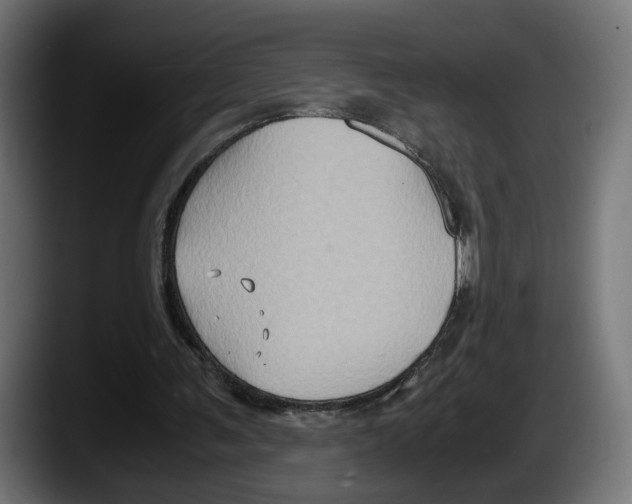 X0000087520291200705251645