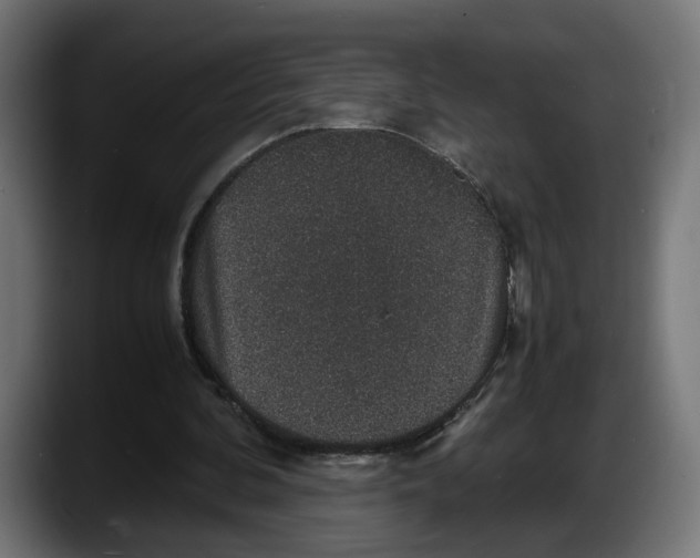 X0000087520292200705251645