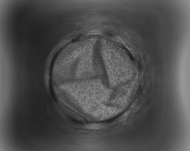 X0000087520293200705251645