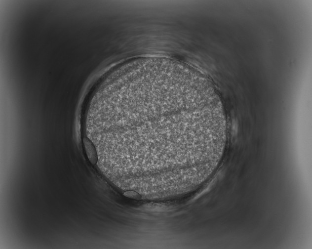 X0000087520294200705251645