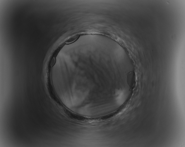 X0000087520295200705251645