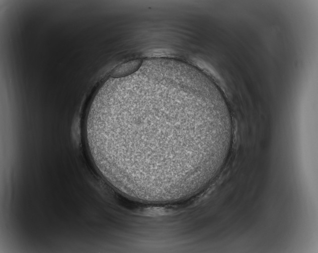 X0000087520298200705251645