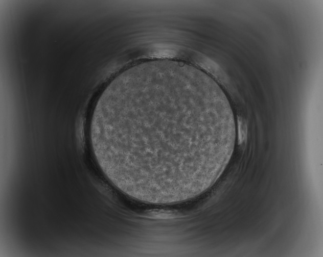 X0000087520300200705251645