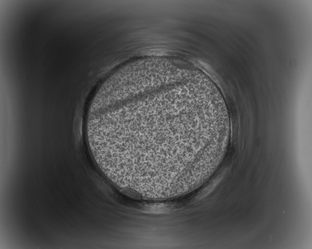 X0000087520301200705251645