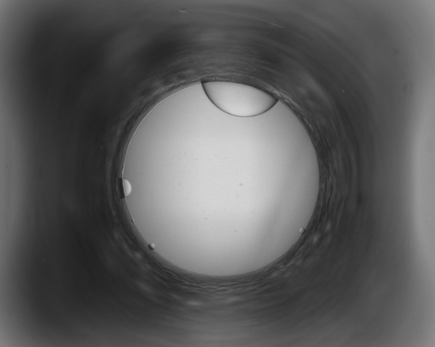 X0000087520302200705251645