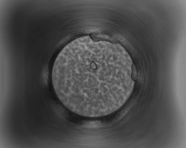 X0000087520304200705251645