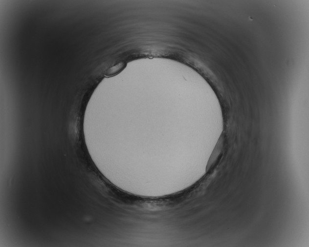 X0000087520305200705251645