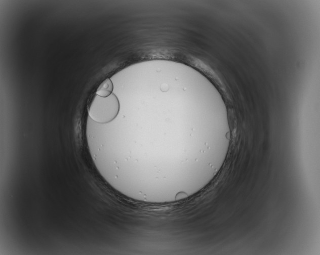 X0000087520306200705251644