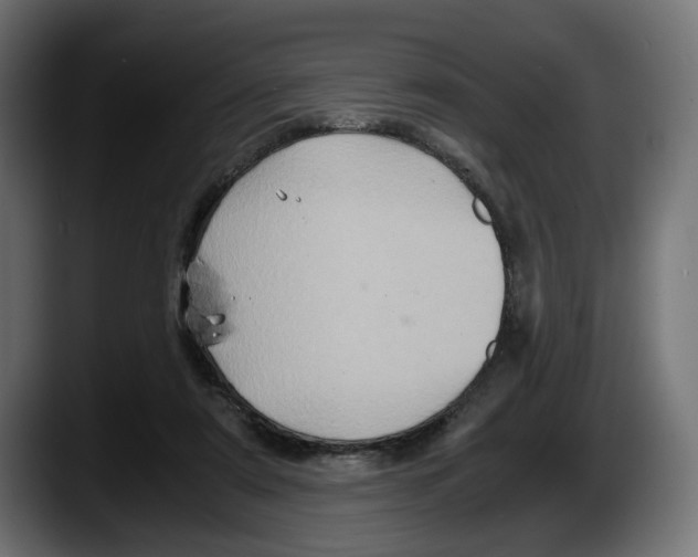 X0000087520307200705251644